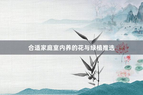 合适家庭室内养的花与绿植推选